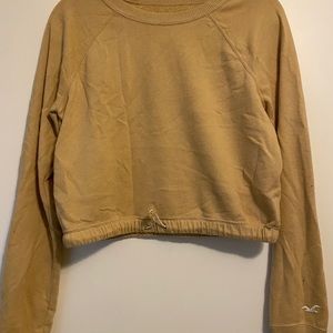Hollister beige cropped sweater